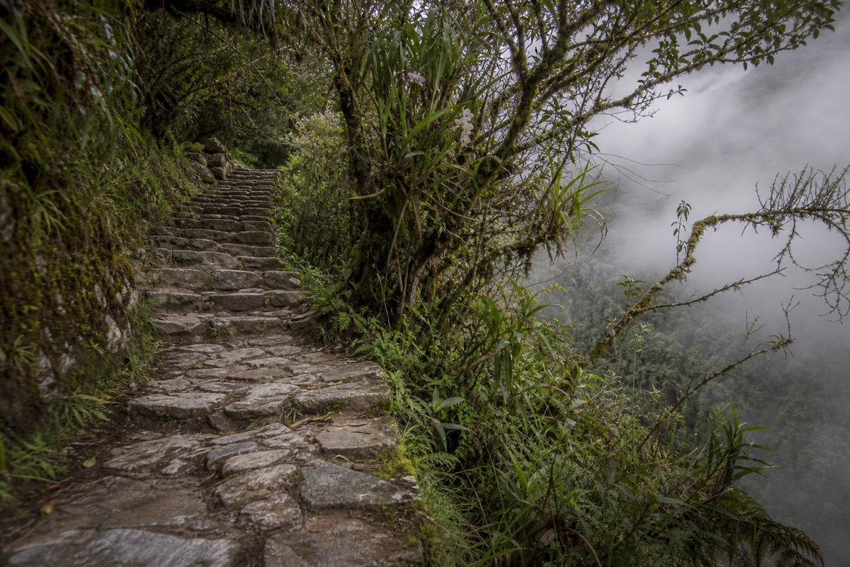 Ancient stone paving on the Inca Trail