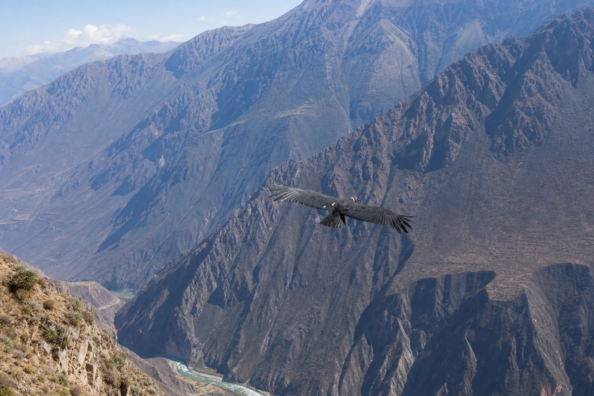 The Peruvian Andes