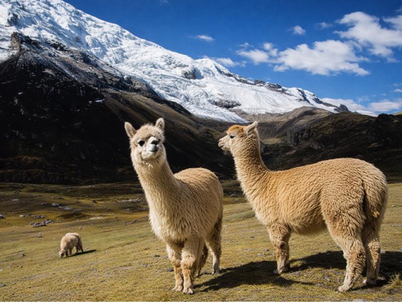 3-Day Private Ausangate Trek + Rainbow Mountains Tour