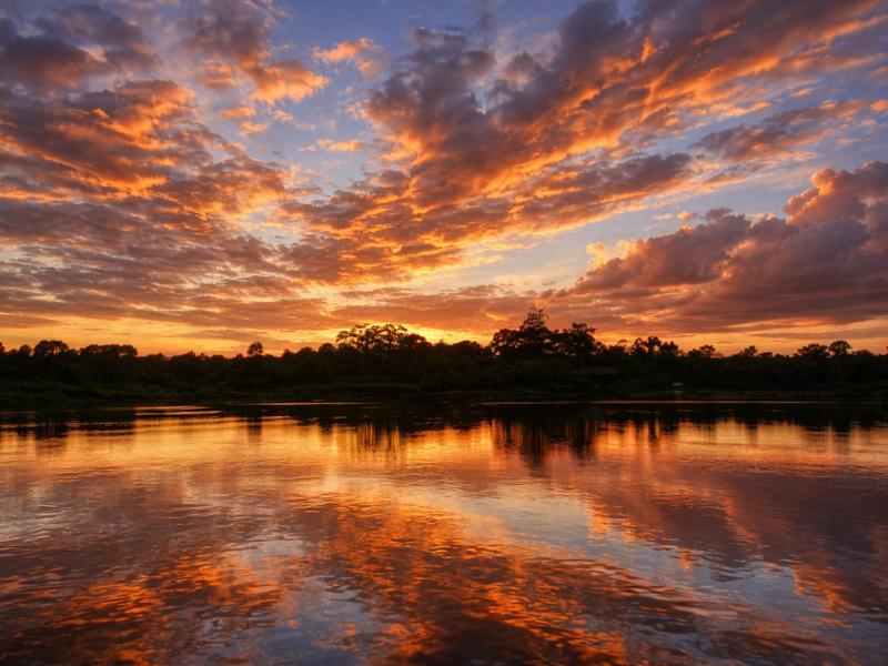 From Iquitos: 2-Day Amazon Rainforest Exploration Tour